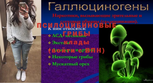 гидропоника Абинск